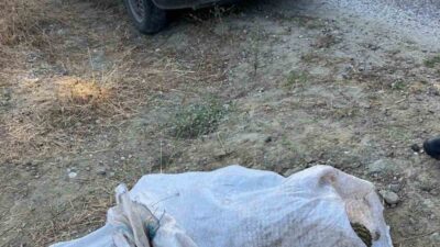 Manisa’nın Gördes ilçesinde 95 kilogram çam fıstığı çalan iki hırsız