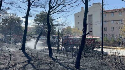 Çanakkale’nin Merkez ilçesine bağlı Çınarlı köyünde çıkan orman yangını, Orman