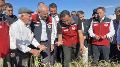 Çanakkale’nin Biga ilçesinde ‘Damla Sulama Yöntemi ile Çeltik Üretiminin Geliştirilmesi