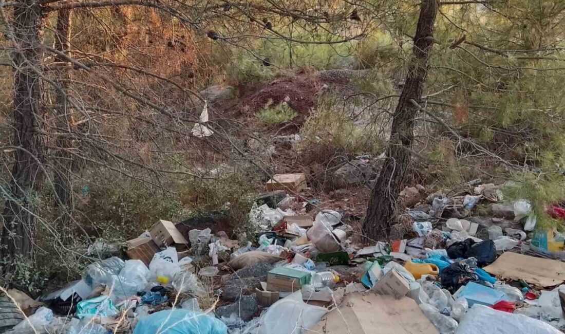 Çanakkale’de ormanlık alanlar çöpten geçilmiyor Çanakkale’de ormanlık alanlar, kimliği belirsiz kişilerin attığı moloz yığınları ve