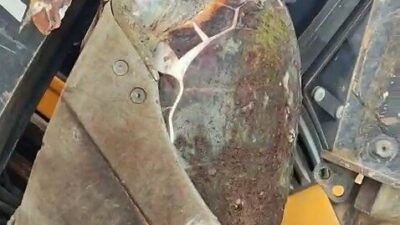 Çanakkale’nin Lapseki ilçesi sahilinde caretta caretta türü deniz kaplumbağası, ölü