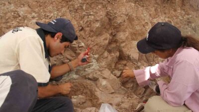 Çankırı’da Çorakyerler Omurgalı Fosil Lokalitesi’ndeki çalışmalarda 9 milyon yıl öncesine
