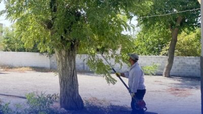 Aydın’ın Çine ilçesinde okullarda yeni eğitim öğretim yılı hazırlıkları kapsamında