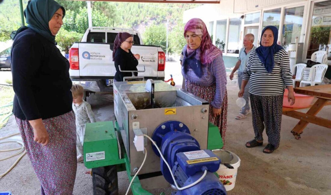 Antalya Büyükşehir Belediyesi, üzüm hasadının başlamasıyla birlikte talepte bulunan mahallelere
