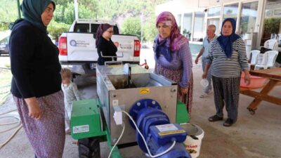 Antalya Büyükşehir Belediyesi, üzüm hasadının başlamasıyla birlikte talepte bulunan mahallelere