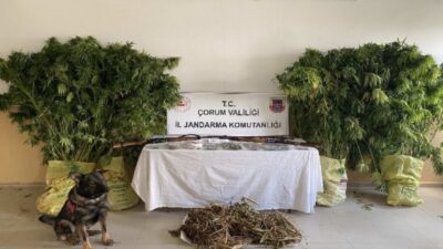 Çorum İl Jandarma Komutanlığı ekiplerinin Alaca ve İskilip ilçelerinde düzenlediği