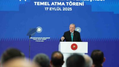 Cumhurbaşkanı Recep Tayyip Erdoğan, “Hitler özentisi tiplerin ’kuyruk acısı’ belki