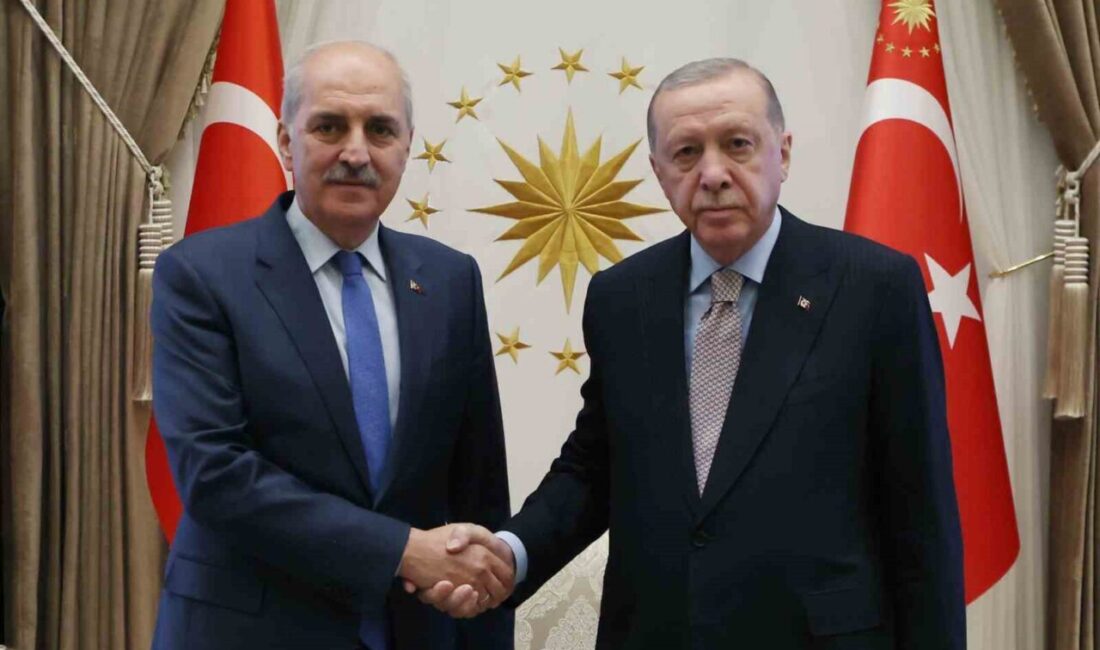Cumhurbaşkanı Recep Tayyip Erdoğan, Türkiye Büyük Millet Meclisi (TBMM) Başkanı