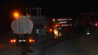 Balıkesir’in Ayvalık ilçesi Cunda Adası’nda makilik alanda çıkan yangın korkuttu.