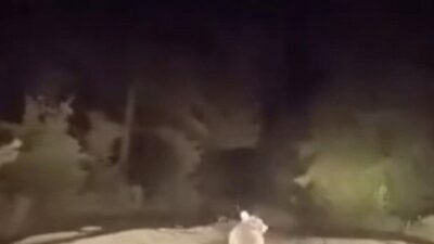 Bursa’nın Karacabey ilçesinde dağ yolunda ilerleyen bir sürücü, yol üzerinde