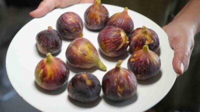 Balıkesir’de faaliyet gösteren AR-GE firması sahibi Faruk Durukan, incirin sağlık