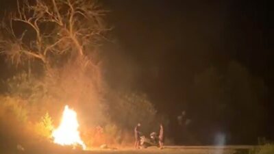 Muğla’nın Dalaman ilçesinde otobüs terminali yakınındaki ormanlık alanda kasıtlı olarak