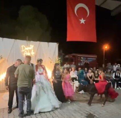 Muğla’nın Yatağan ilçesi Bozarmut Mahallesi’nde gerçekleşen düğünde sıra dışı bir