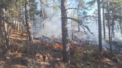 Manisa’nın Demirci ilçesinde çıkan orman yangınına 1 helikopter, 1 uçak