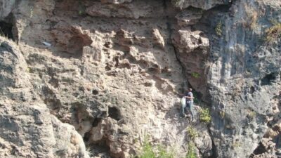 Antalya’da yaşayan Osman Şimşek, kendi rahatsızlığına derman bulmak için toplamaya