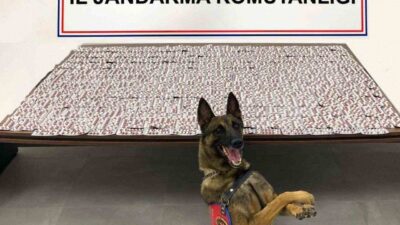 Denizli’de İl Jandarma ekipler tarafından uyuşturucu ticaretinin önlenmesine yönelik düzenlenen