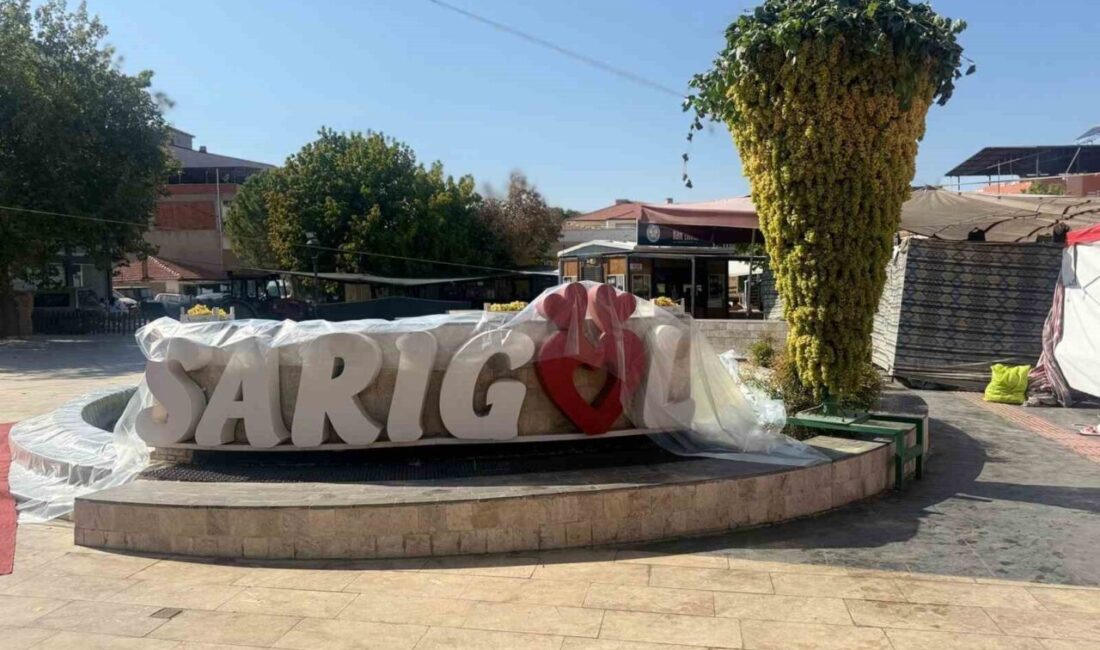 Dev üzüm salkımı festivale damga vurdu Manisa’nın Sarıgöl ilçesinde gerçekleştirilen 17. Sultani Üzüm Festivali kapsamında sergilenen