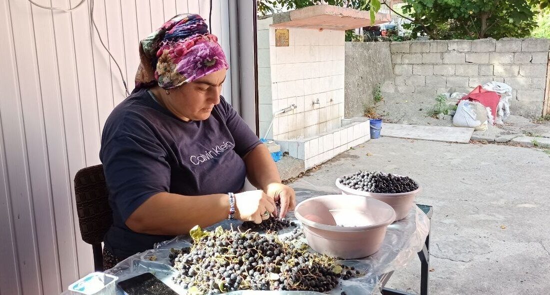 Zonguldak’ın Devrek ilçesinde, bir girişimci tarafından kurulan tesiste aronya meyvesinden