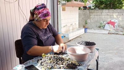 Zonguldak’ın Devrek ilçesinde, bir girişimci tarafından kurulan tesiste aronya meyvesinden