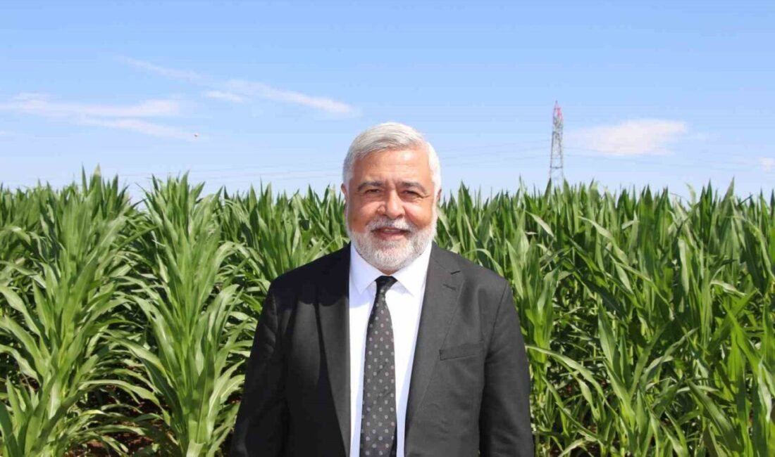 Dicle Elektrik Genel Müdürü Arvas: “Bölgede sorun elektrik değil, sulama” Dicle Elektrik Genel Müdürü Yaşar Arvas, Güneydoğu Anadolu Bölgesinde yaşanan