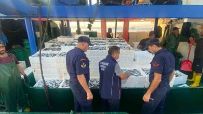 Aydın’ın Didim ve Söke ilçelerinde su ürünleri satışı ve avını