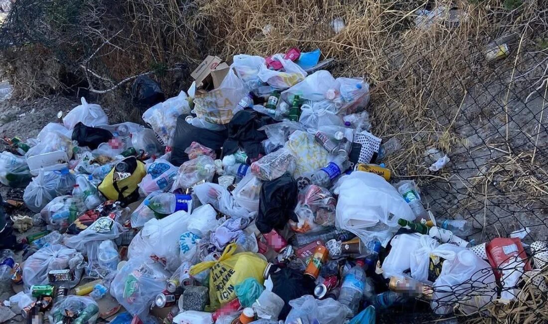 Dikili Belediyesi Pissa Koyu çöplüğe çevrildi İzmir’in Dikili ilçesi Bademli Mahallesi’nde bulunan Pissa Koyu, sorumsuz ve