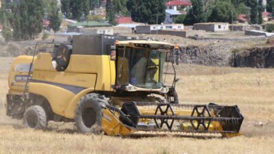 Ağrı’nın Diyadin ilçesinde yıl boyunca büyük emek verilerek ekilen buğday
