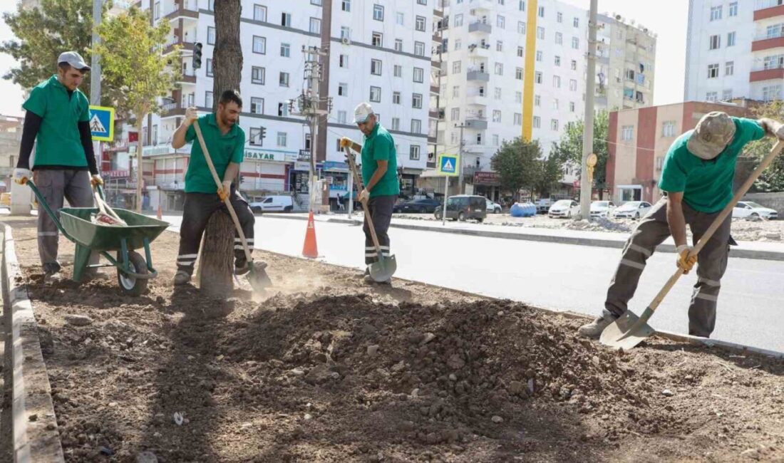 Diyarbakır Büyükşehir Belediyesi, Bağlar ilçesinde deprem ve sonrasındaki yıkımlar nedeniyle