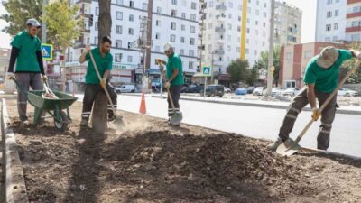 Diyarbakır Büyükşehir Belediyesi, Bağlar ilçesinde deprem ve sonrasındaki yıkımlar nedeniyle