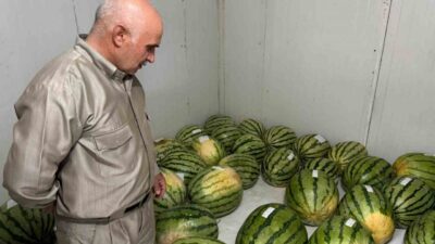 Diyarbakır’da düzenlenecek 15’inci Diyarbakır Karpuzu tanıtım etkinliği için üreticilerin yarışmaya