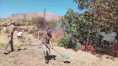 Diyarbakır’ın Çüngüş ilçesinde ağaçlık ve otluk alanda yangın çıktı. Alevler,