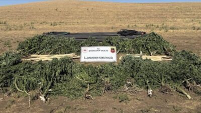 Diyarbakır’da jandarma ekiplerince düzenlenen operasyonlarda çok kilolarca uyuşturucu madde ele