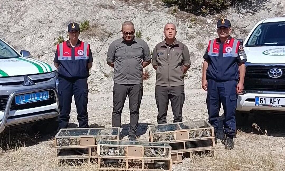 Afyonkarahisar DKMP ekipleri bir şahıs tarafından izinsiz yakalanan 142 saka