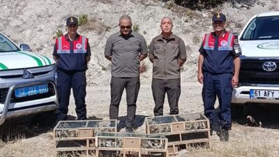 Afyonkarahisar DKMP ekipleri bir şahıs tarafından izinsiz yakalanan 142 saka