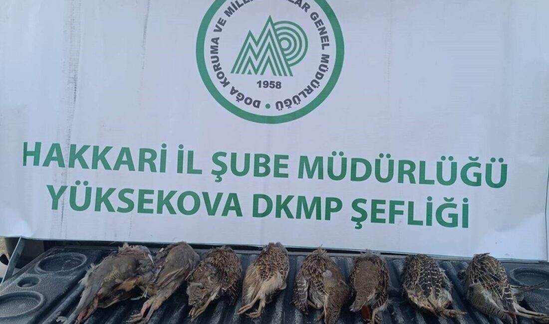 Hakkari’de kaçak keklik avlayan şahsa cezai işlem uygulanırken, avladığı 8