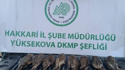 Hakkari’de kaçak keklik avlayan şahsa cezai işlem uygulanırken, avladığı 8