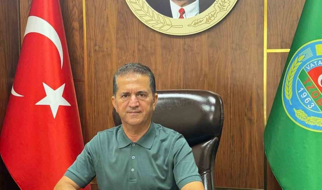 Adana Yüreğir Ziraat Odası Başkanı Mehmet Akın Doğan, limon ihracatının
