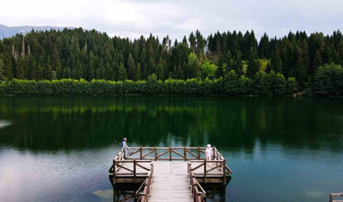 Doğanın kalbinde huzur: Karagöl ziyaretçilerini mest etti Artvin’in “Sakin Şehir” unvanlı Şavşat ilçesinde bulunan Karagöl-Sahara Milli Parkı,