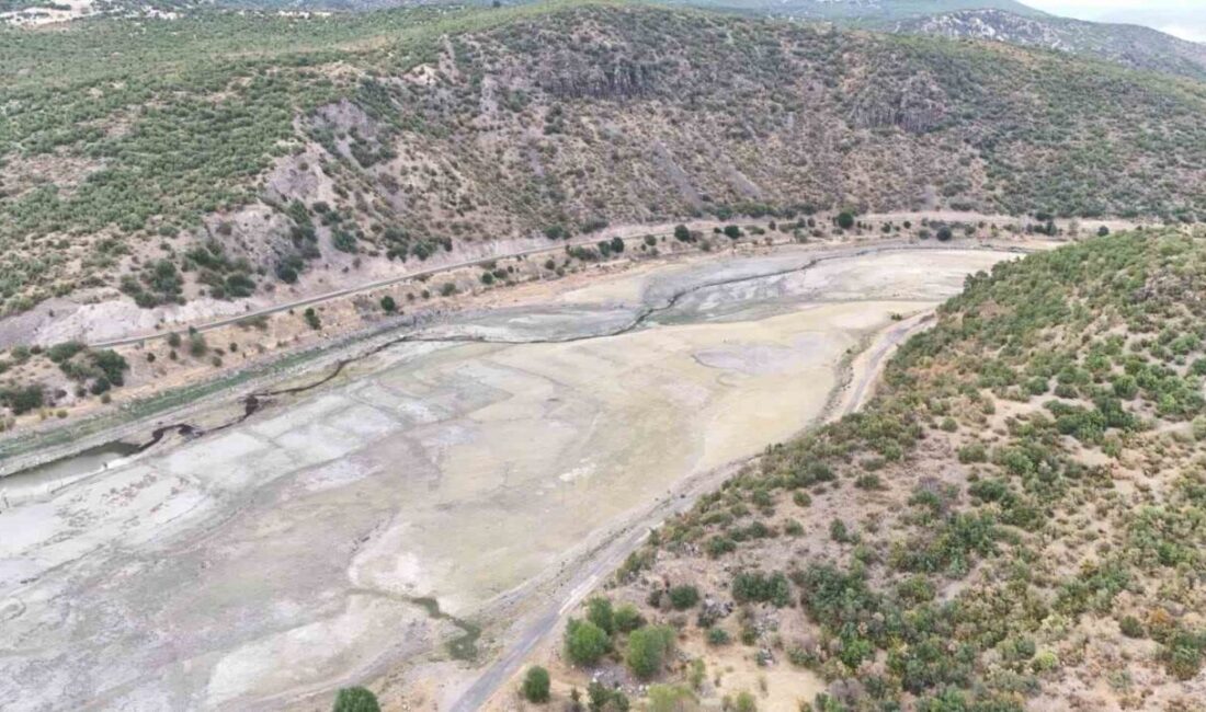 Ankara’nın Kızılcahamam ilçesinde bulunan Doğanözü Barajı yazık kurak geçmesi nedeniyle