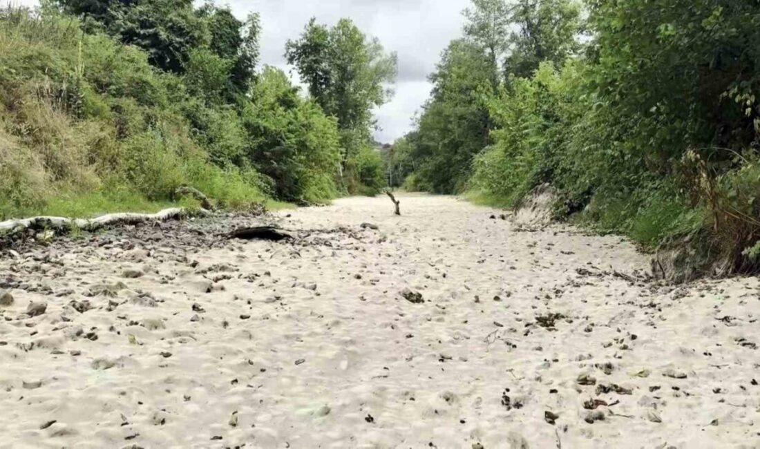 Doğaseverlerin kuruyan gözdesi suya tekrar kavuştu Sakarya’nın Karasu ve Kocaali ilçeleri arasında, doğa turizminin gözde rotalarından