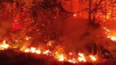 Düzce’de Esençam köyü mevkiinde çıkan ve büyük oranda kontrol altına