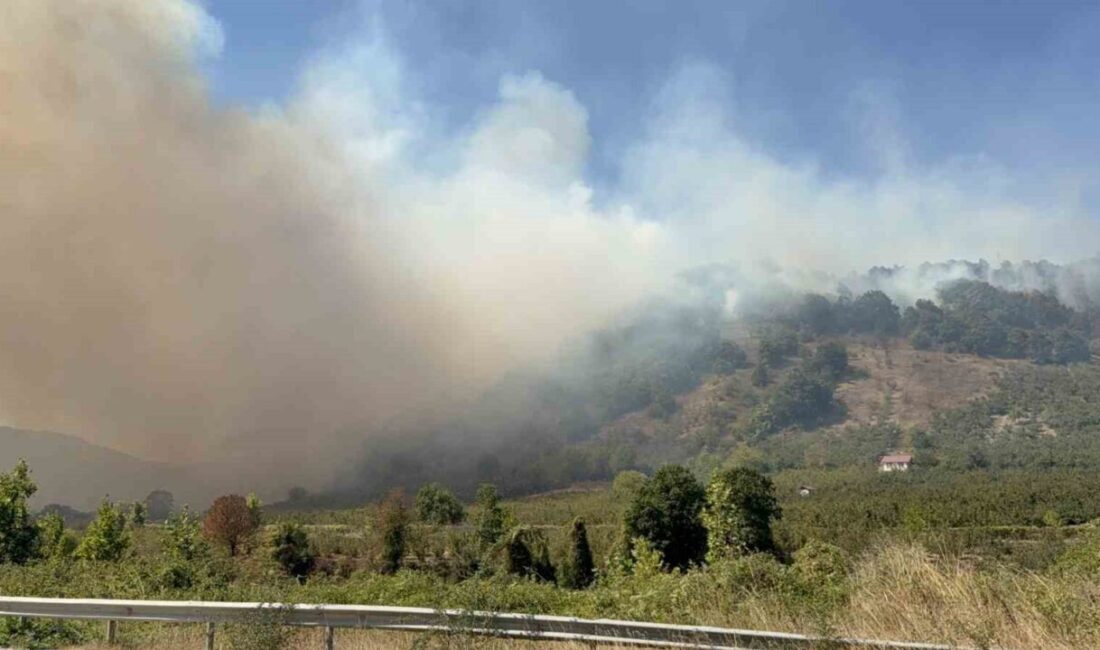 Düzce’de orman yangını 5. saatinde Düzce’de başlayan orman yangınına müdahalede 5. saate girilirken, 35 araç