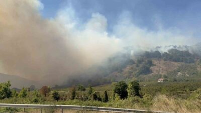 Düzce’de başlayan orman yangınına müdahalede 5. saate girilirken, 35 araç