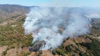 Düzce’de fındıklıkta başlayan anız yangını rüzgarın etkisi ile ormana sıçradı.