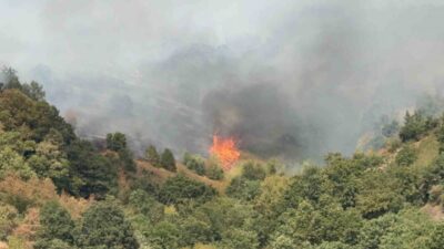DÜZCE(İHA) – Düzce Merkeze bağlı Esençam köyünde meydana gelen ormanı