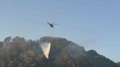 Düzce’de sabah saatlerinde başlayan orman yangını kısmen kontrol altına alındı.