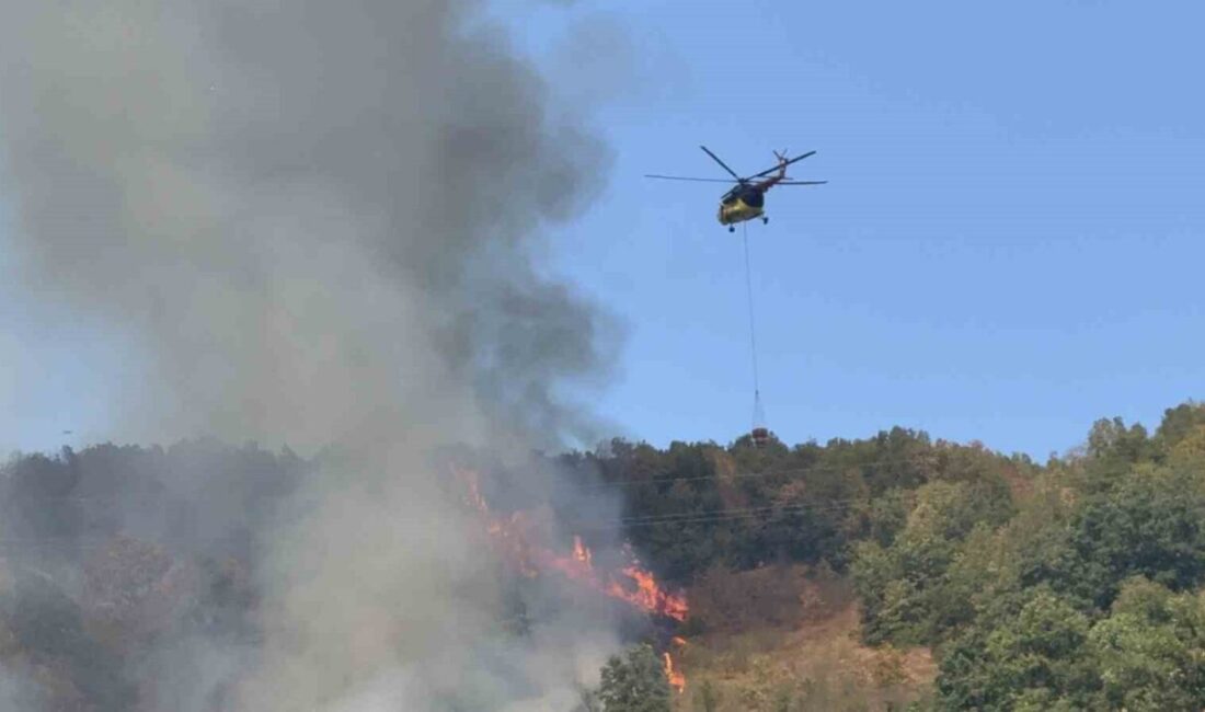 Düzce’deki orman yangınına helikopter ve 20 araçla müdahale sürüyor Düzce’de otluk arazide çıkıp ormanlık alana yayılan yangına 1 helikopter
