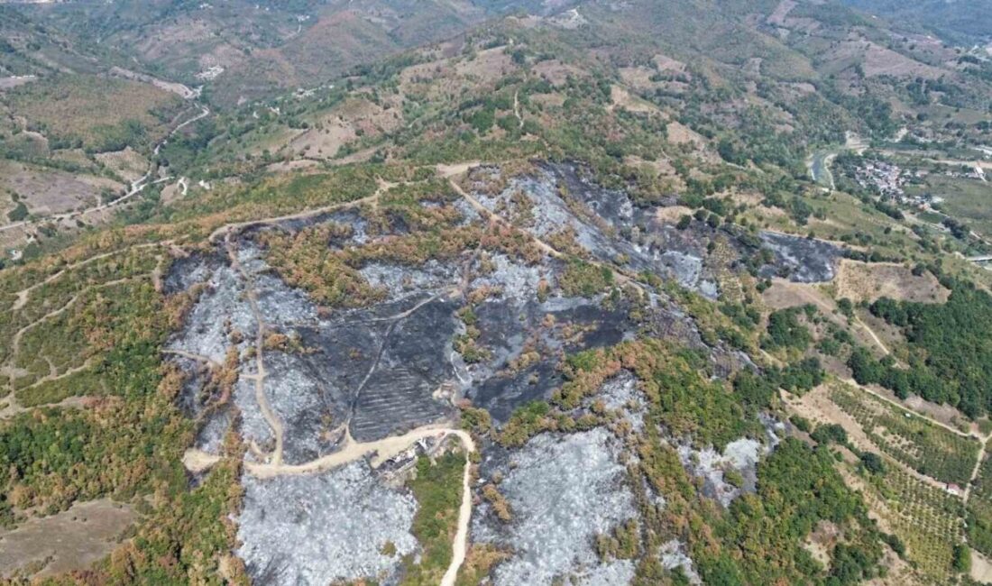 Düzce’deki yangının boyutu havadan görüntülendi Düzce’de ormanlık alanda dün başlayıp 9 saatte kontrol altına alınan