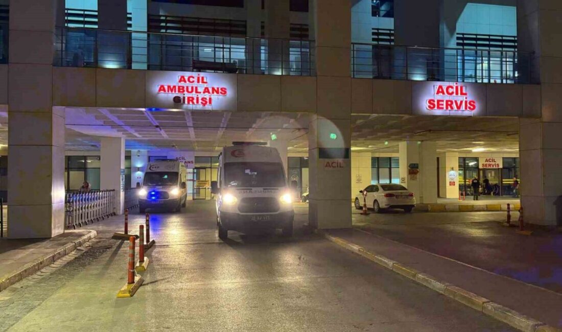 Edirne’nin Havsa ilçesinde yaşanan korkunç aile faciasında 4 kişi yaralandı.
