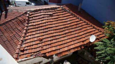 Edirne’de çöplerle dolu olan bir evin bahçesindeki sıçan ve farelerin